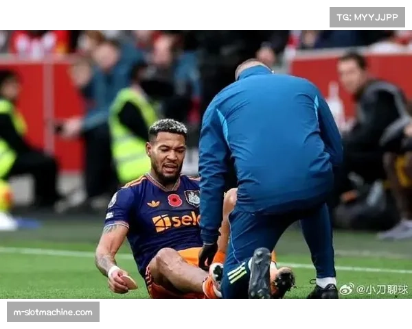 布伦特福德3-1纽卡斯尔 瓦塔拉佯装判罚引VAR审核